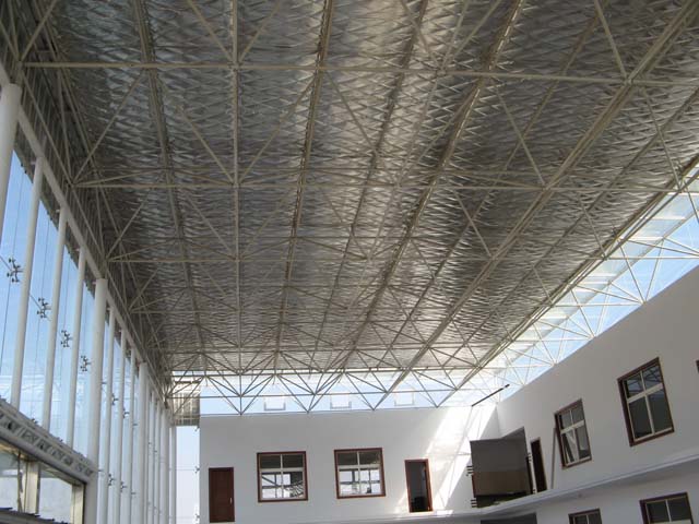 Network frame structure roof for a hall